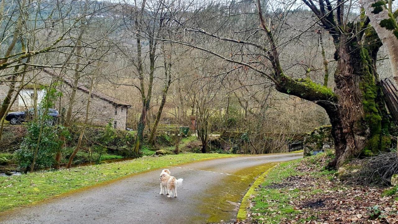 Hotel Rural La Tahona De Besnes Arenas De Cabrales Dış mekan fotoğraf