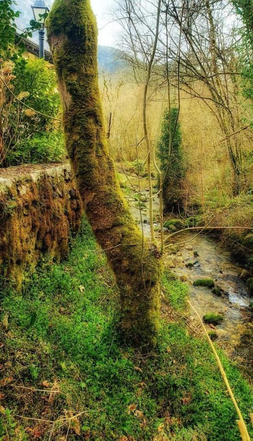 Hotel Rural La Tahona De Besnes Arenas De Cabrales Dış mekan fotoğraf